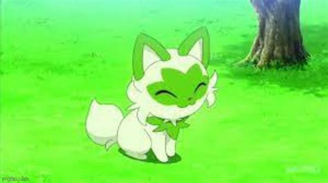 Sprigatito Memes & GIFs - Imgflip