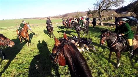 Abschlussjagd Der Geiseltal Beagle Meute Youtube