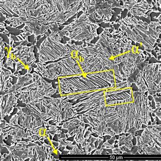 Microstructure SEM Of TRIP Steel Samples After The Combined Hot