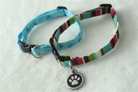 9 Diy Cat Collars That Are Unique And Adorable With Pictures Pangovet