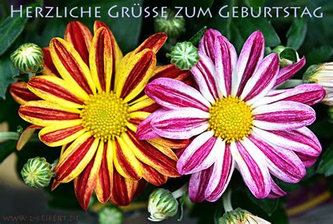 Geburtstag Bilder Blumen, Gaidaphotos... | nikitaaprilclasy blog