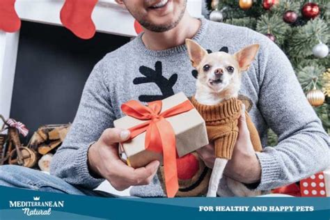 Mediterranean Natural Ideas Para Regalar A Amantes De Los Perros