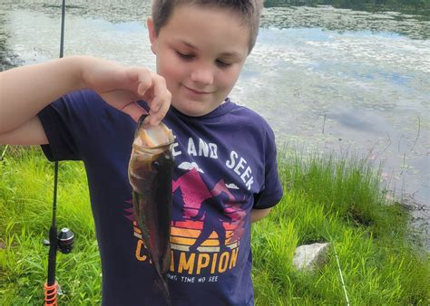 High Point State Park Camping | The Dyrt