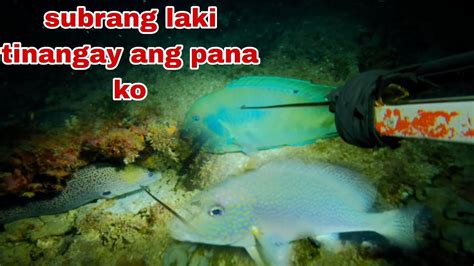 Ep Subrang Laki Tinangay Ang Pana Ko Night Spearfishing Youtube