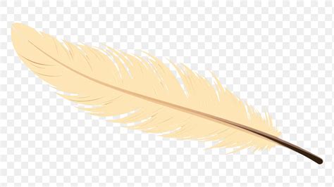 Png Feather Bird Lightweight Softness Free Png Rawpixel