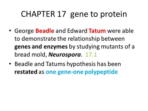 CHAPTER 17 Gene To Protein George Beadle And Edward Tatum Were Able To