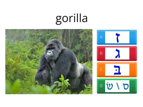Animal Beginning Sounds - Quiz