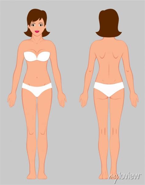 Woman Body Silhouette Vector Naked Figure Anatomy Posters For The Wall Posters Art