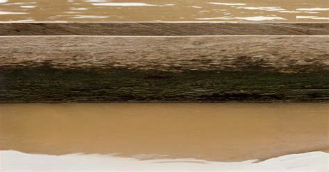 Celso Jos Castro Daza Man In Canoe Nude Photograph Printed On Canvas Mounted In Strechers