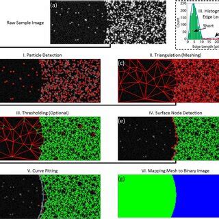 general flow chart illustrating  working principle  major steps