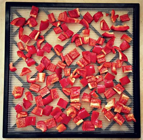 How To Dehydrate Peppers For Food Storage