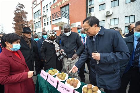 非洲国家外交官访问中科院武汉植物园并参观湖北省博物馆 荆楚网 湖北日报网