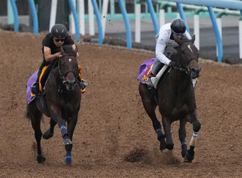 【秋華賞】スターズオンアース 仕上がり完璧！牝馬3冠確信、ルメール「g1で勝つ自信あります」 スポニチ競馬web