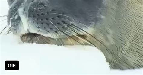 When You Re Sleepy But You See Her Walking Naked In The Room 9GAG