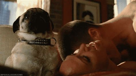 7 Guys You Ll Have Sex With In College Slutty Girl Problems