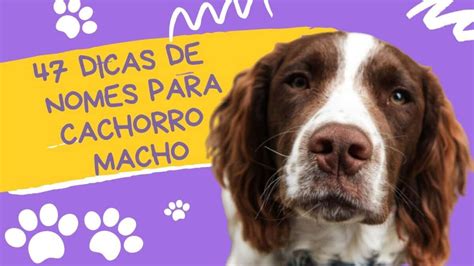 Descubra Nomes Criativos e Modernos para seu Cachorro - News Tec