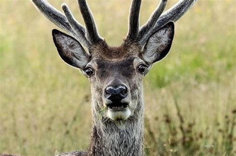 One Of UK S First Gay Dads To Marry Daughter S Ex Boyfriend After Holiday Proposal Daily Record