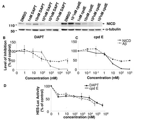 Generation Of Nicd And A From Notch E And App Expressing Cells A