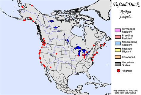 Natural Predators - Zebra Mussels