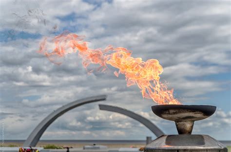 Зеленое кольцо славы... Разорванное кольцо: fotomanya — LiveJournal