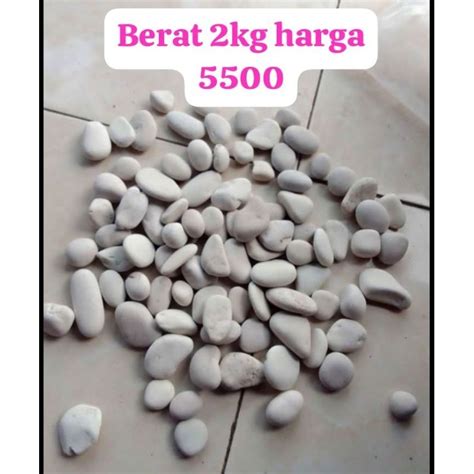 Jual Batu Koral Kg Batu Kolam Batu Coral Kupang Putih Kg Batu Taman