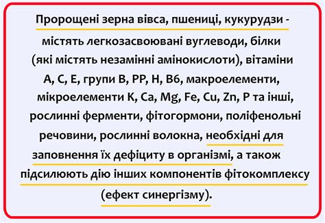 ЧОЙС • сайт та магазин • Наталія Мигалко