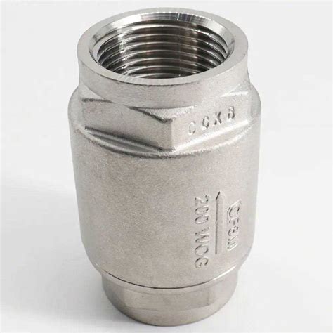 Guardian 316 Stainless Steel 200 PSI Full Port Vertical Check Valve