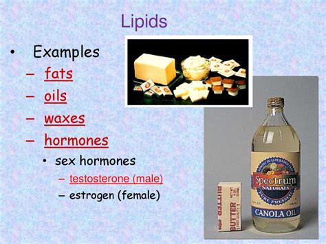 Aim Lipids Fats And Oils Warm Up Hw Ppt Download