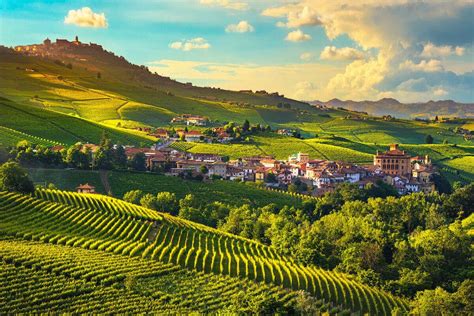 Best Wine Regions In Italy To Visit