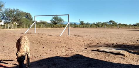 La Mala Conectividad En Reas Rurales Afecta A Millones De Persona