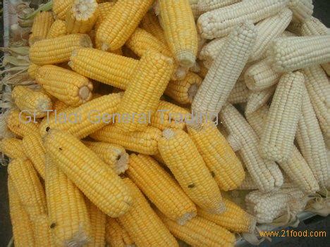 Non Gmo White Maize Yellow Corn Non Gmo Soybean Seed South Africa Price