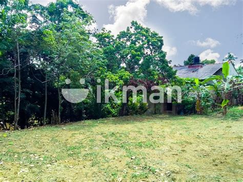 Residential Land For Sale In Udugampola Q Ikman