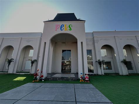 PEKS | International Playway School in Ludhiana