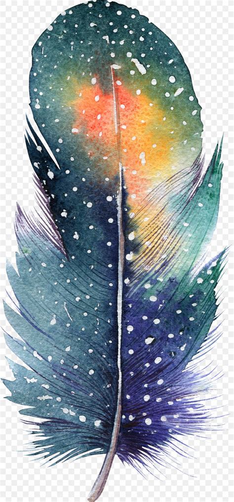 Feather Watercolor Painting Drawing Illustration, PNG, 1300x2786px ...