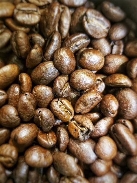 Dark Roast Coffee Beans Stock Photo Image Of Caffeine