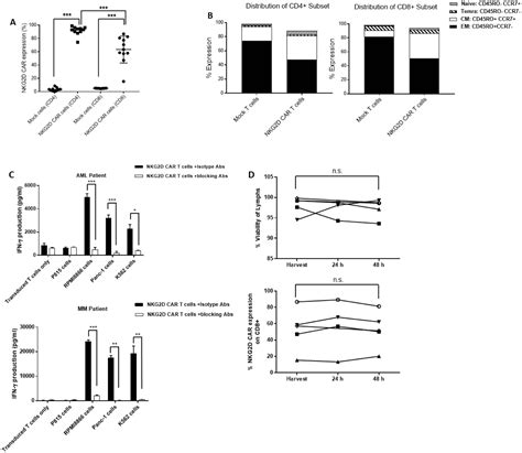 Manufacturing Development And Clinical Production Of Nkg2d Chimeric