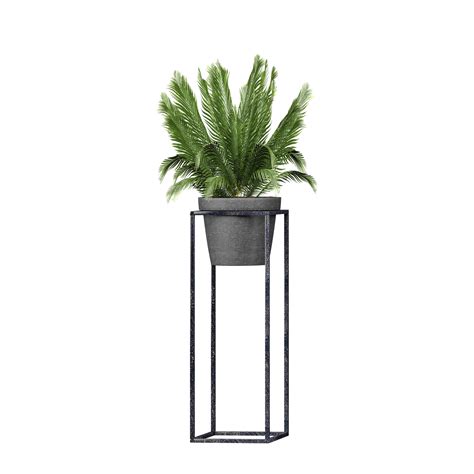 Home Plant With Black Metal Plant Stand Indoor 47398662 Png