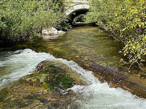North Fork Salmon River Idaho Fly Fishing Waters