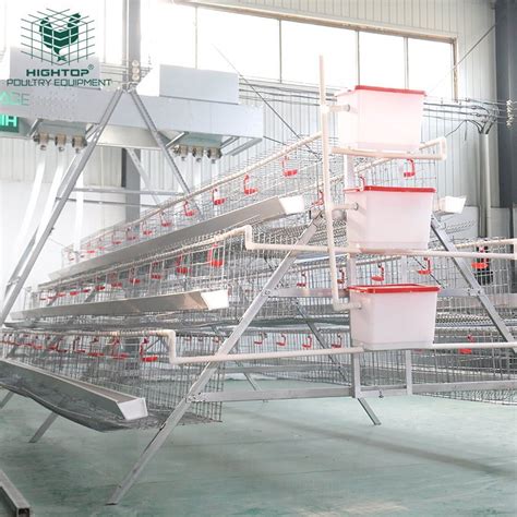 Zambian A Frame 3 Tiers Poultry Egg Layer Chicken Cage Used In Poultry