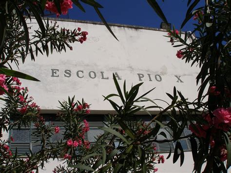 Escola Municipal Pio X - Pio X Escola : A HISTÓRIA DA ESCOLA PIO X EM FORTALEZA – JJPHOE
