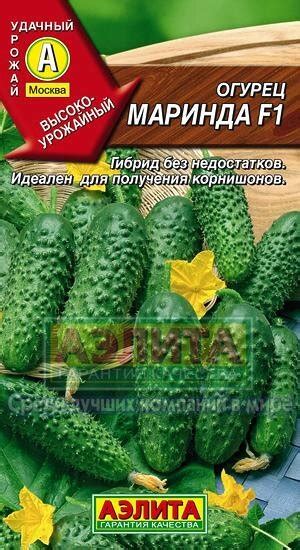 Купить Огурец Маринда F1 /10шт раннеспел,партенок в Санкт-Петербурге ...