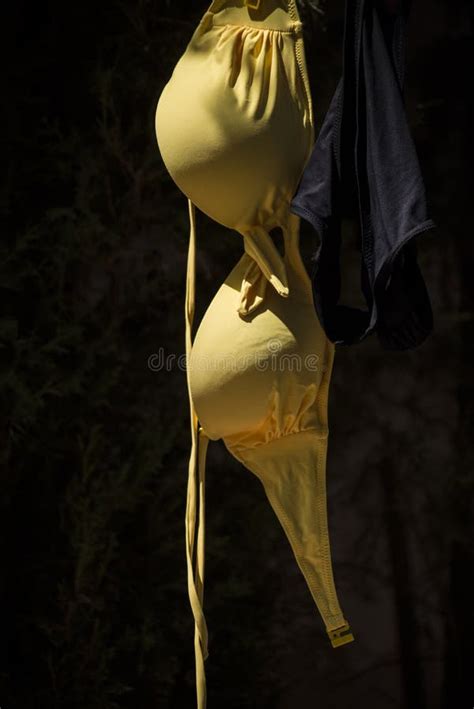Female Beach Bikini Drying In The Sun Stock Photo Image Of Holidays Clip 8998972