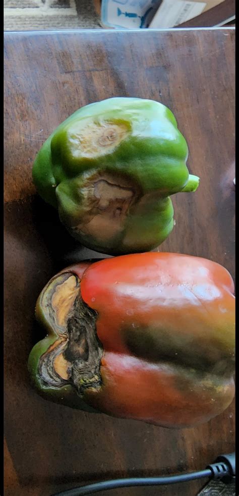 What Is Going On With My Bell Peppers And How Do I Fix It R