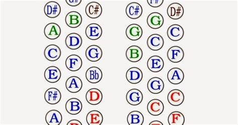 Acordeón De Botones La Guía Más Completa 56 OFF