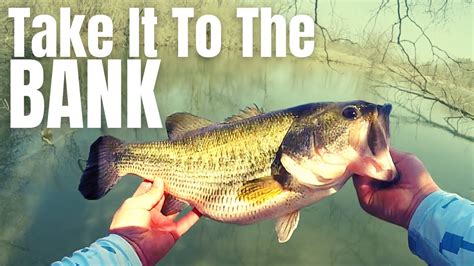 20 Yrs Of Bank Fishing For Bass Simplified In 3 Easy Tips Catching A