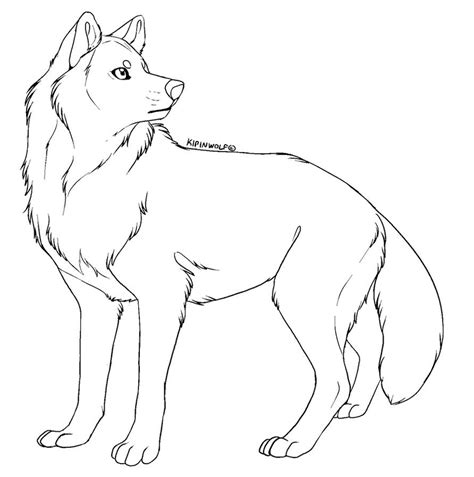 Free Lineart Wolf By Kipine On Deviantart