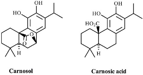 Chemical Structure Of Two Major Diterpene Phenolics From Rosemary
