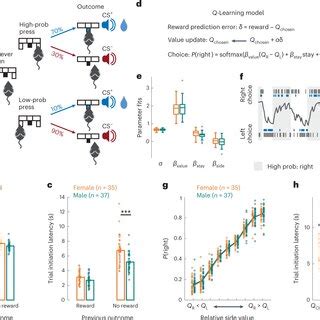 A Neural Substrate Of Sex Dependent Modulation Of Motivation Request Pdf