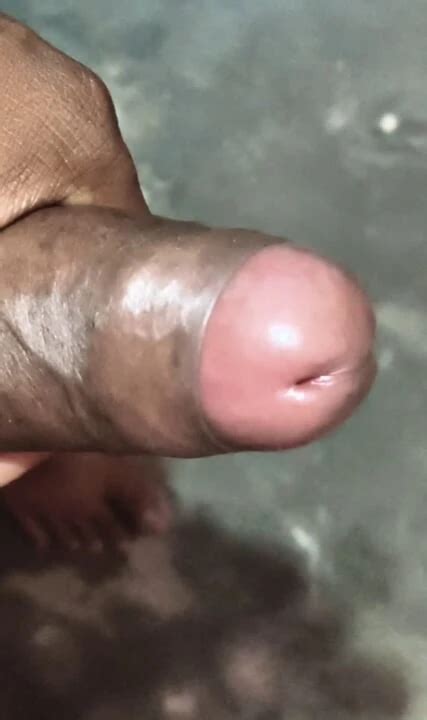 Heavy Mustard At Home Room Indian Gay Asian Asian Porn XHamster