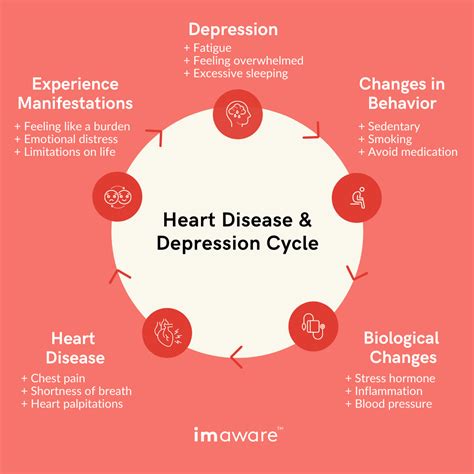 Depression And Heart Disease Whats The Link Imaware™